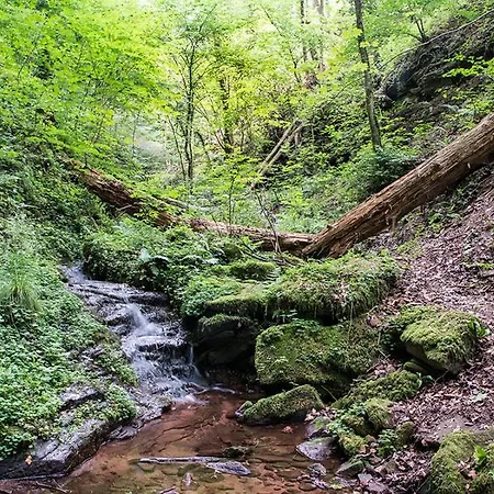 Zur Wolfsschlucht Guest house *